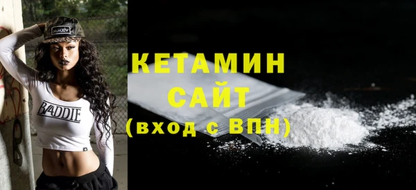 прущие грибы Аркадак