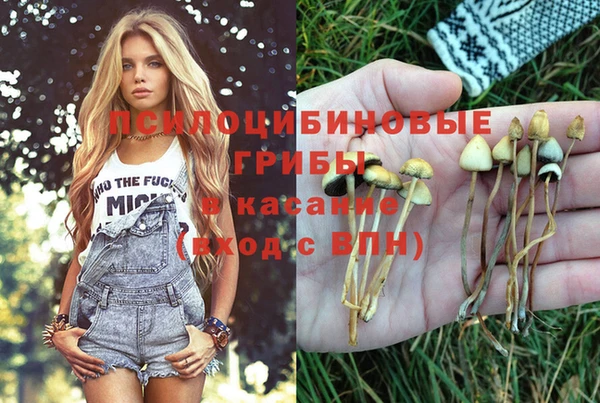 не бодяженный Арсеньев