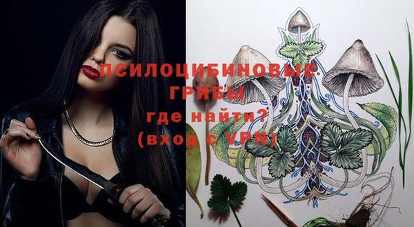 прущие грибы Аркадак