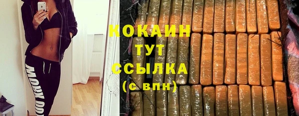не бодяженный Арсеньев