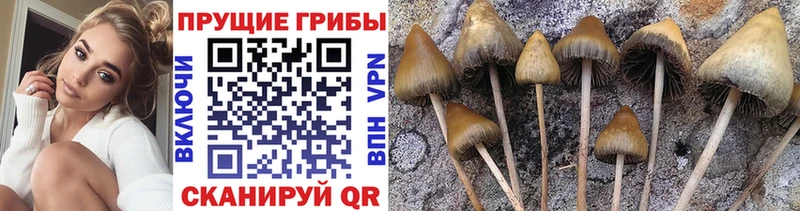 Псилоцибиновые грибы MAGIC MUSHROOMS Баксан